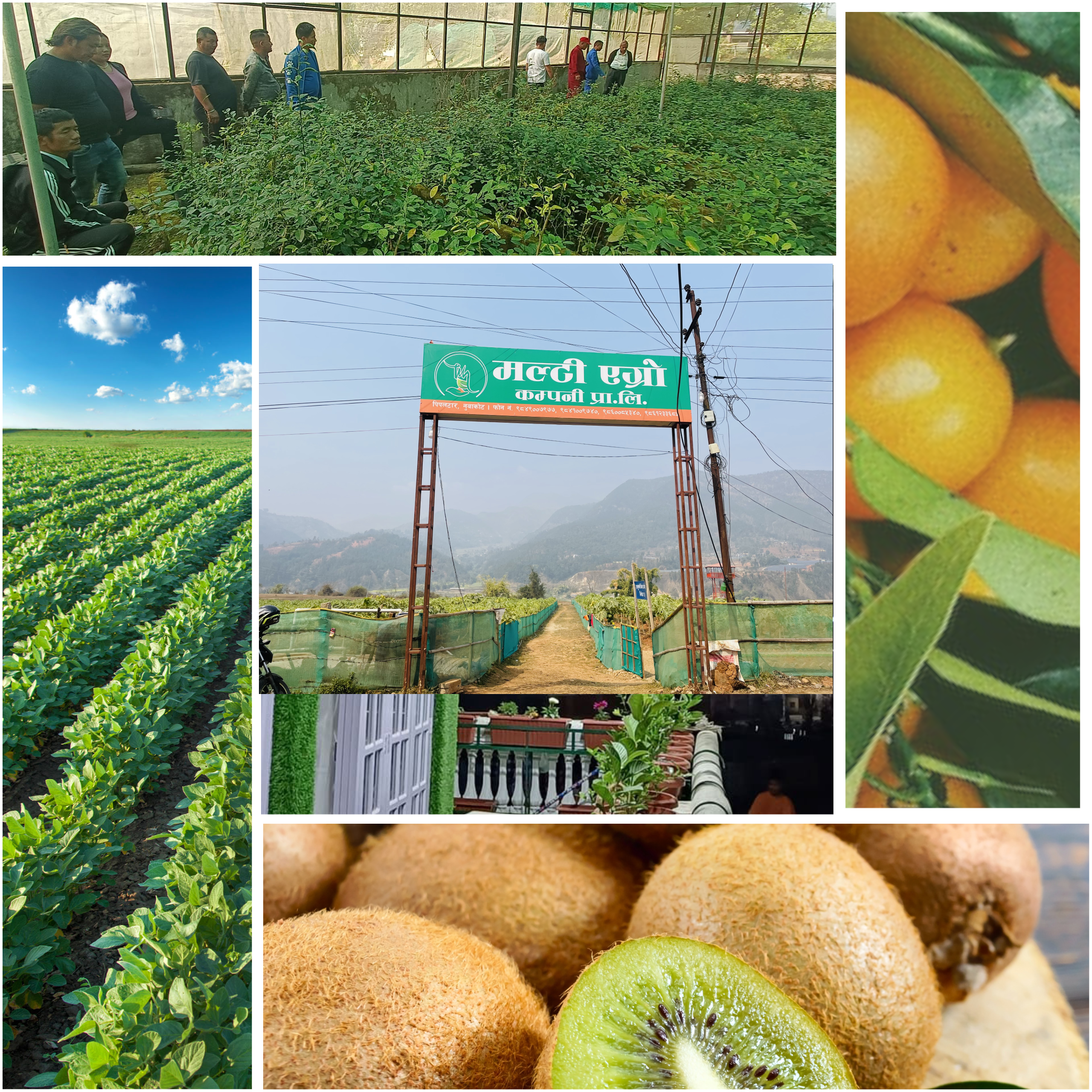 Multi Agro